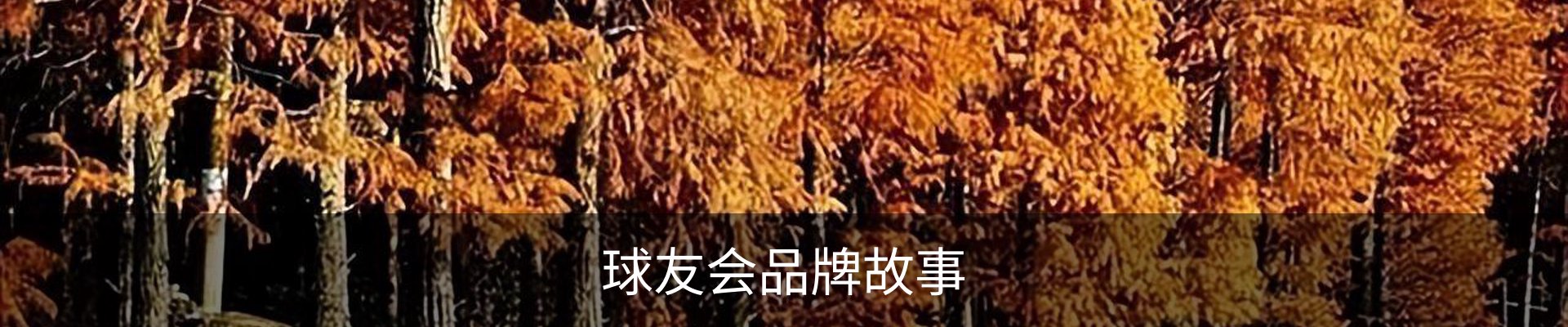 球友会品牌故事